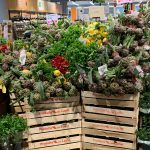 Roma-Ipercoop-Euroma2