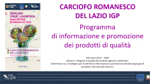 Programma di interventi